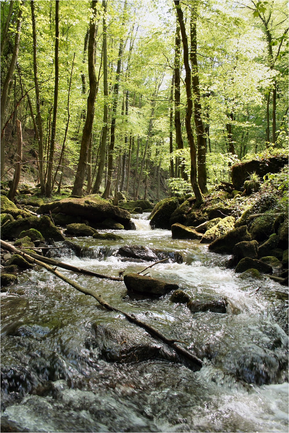 Leukbachtal