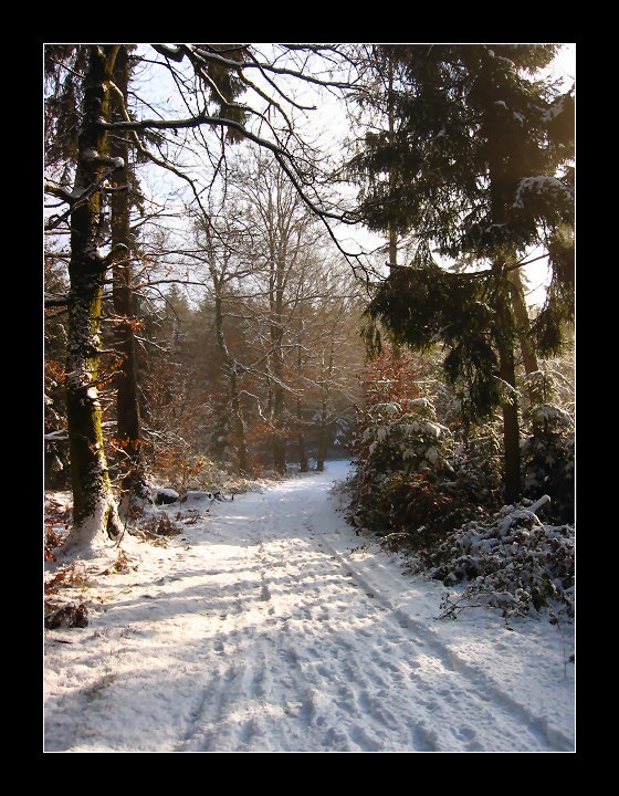 Ein Wintermärchen