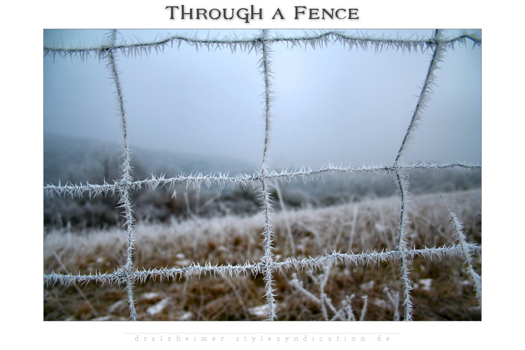 Through a Fence