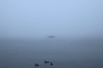 Der Bostalsee im Nebel