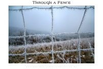 Through a Fence