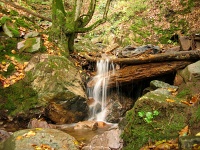 Wasserfall am Weselbach