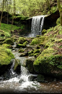 Wasserfall Butzerbach